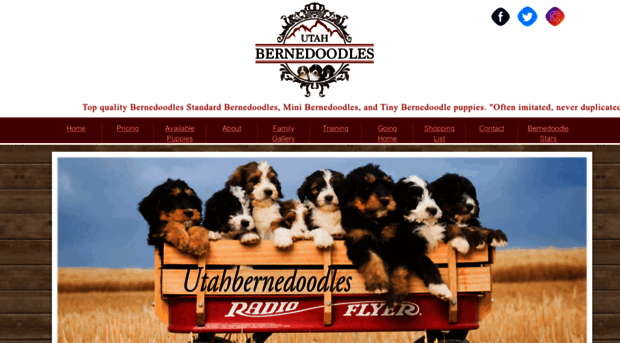 utahbernedoodle.com