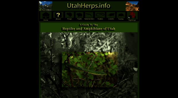 utahherps.info