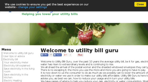 utilitybillguru.com