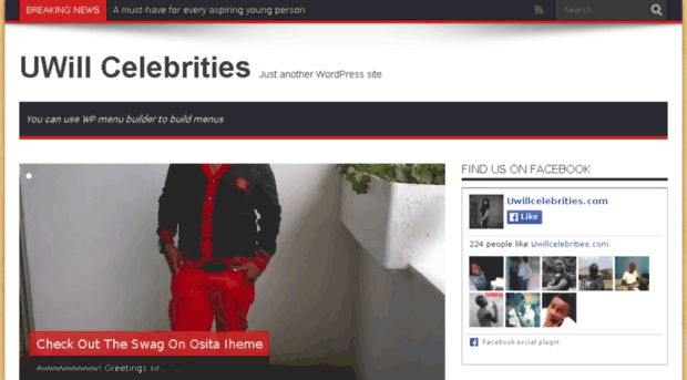 uwillcelebrities.com