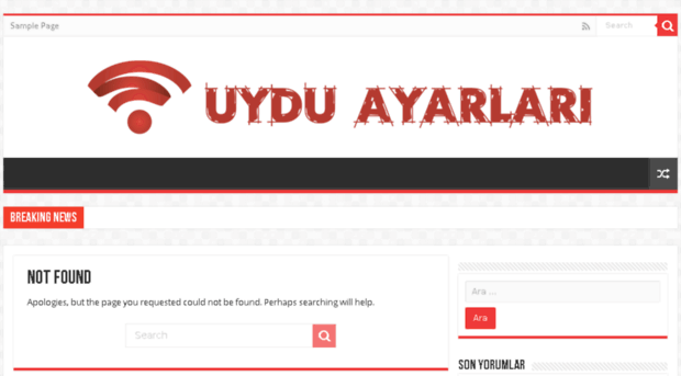 uyduayarlari.com