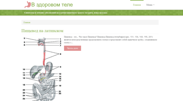 v-zdorovom-tele.ru