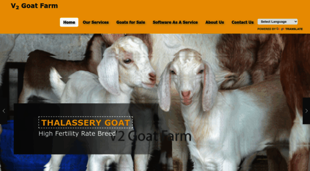 v2goatfarm.com