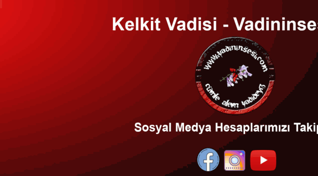 vadininsesi.com