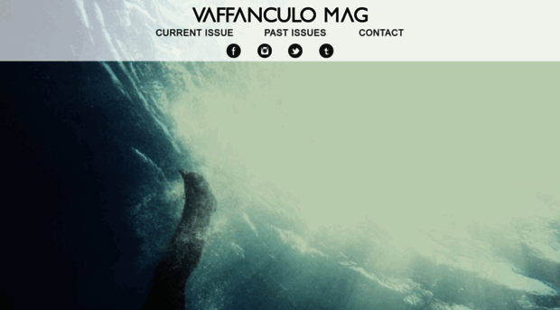 vaffanculomag.com