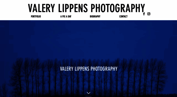 valerylippens.com