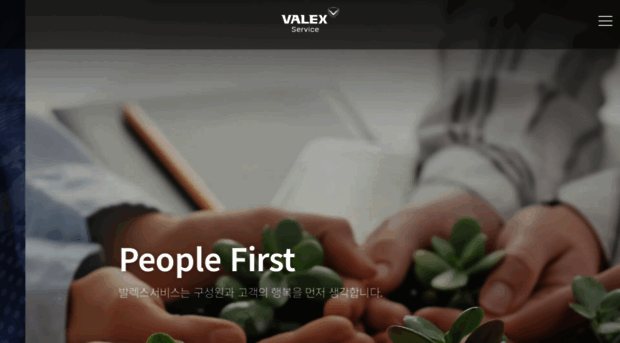 valexservice.com