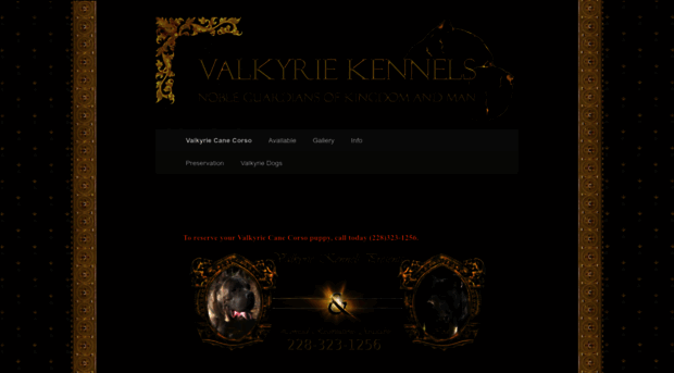 valkyriecanecorso.com