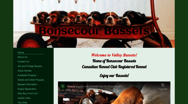 valleybassets.com