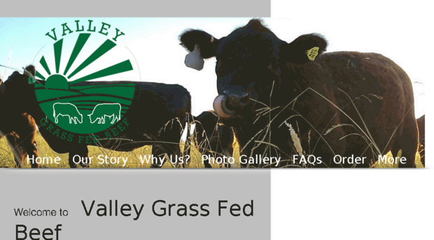 valleygrassfedbeef.com