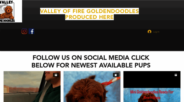 valleyoffiredoodles.com