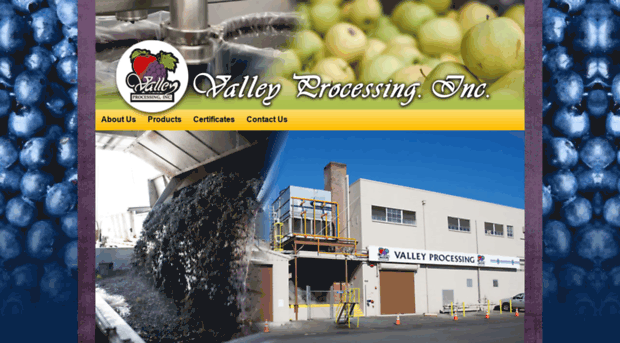 valleyprocessing.com