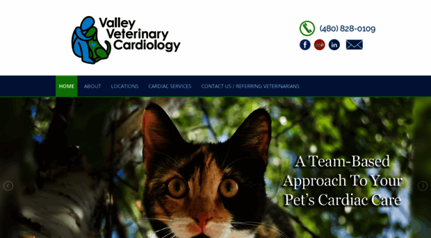 valleyvetcardiology.com