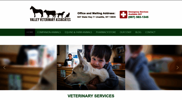 valleyveterinaryassociates.com