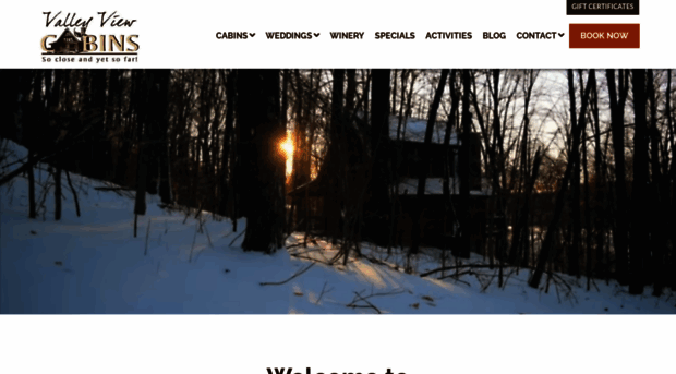 valleyviewcabins.com