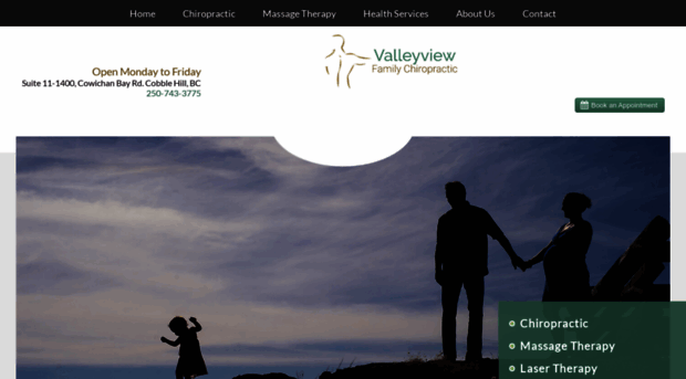 valleyviewchiropractic.com