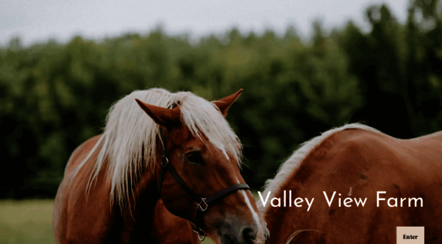 valleyviewfarm.info