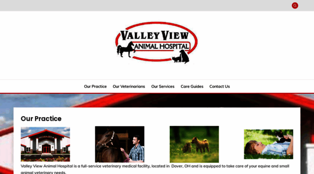 valleyviewvets.com