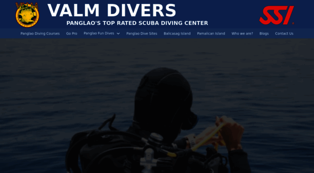 valmdiversbohol.com