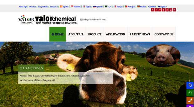 valorchemical.com