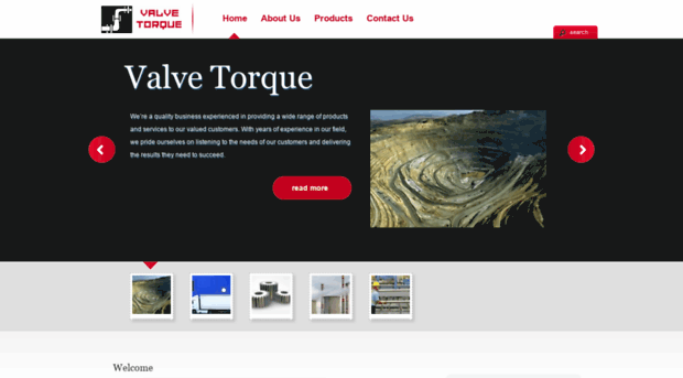 valvetorque.com.au