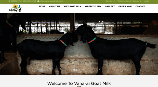 vanaraigoatmilk.com