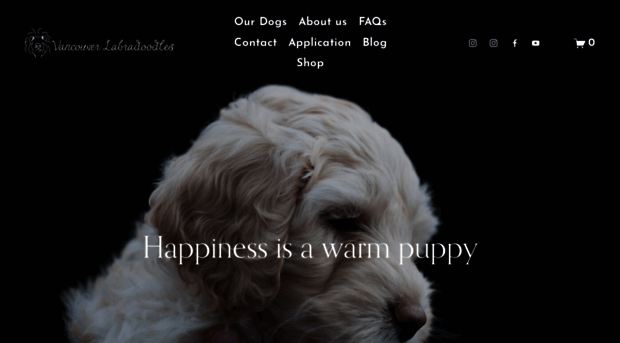 vancouverlabradoodles.com