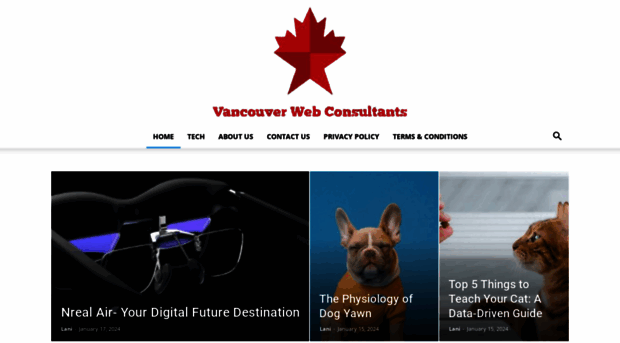 vancouverwebconsultants.com