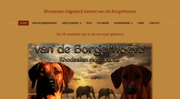 vandeborgerhoeve.nl