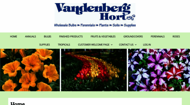 vandenbergbulb.com