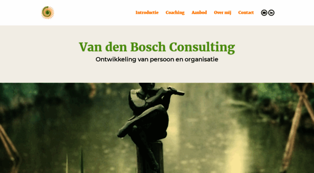 vandenboschconsulting.nl