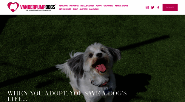 vanderpumpdogs.org