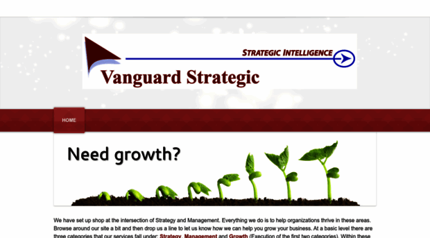 vanguardstrategic.us