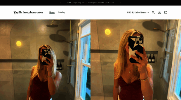 vanillalanecases.com