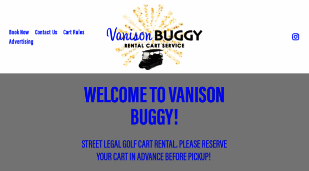 vanisonbuggy.com