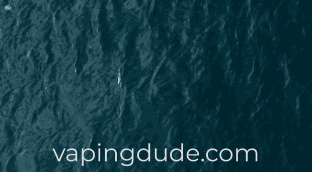 vapingdude.com