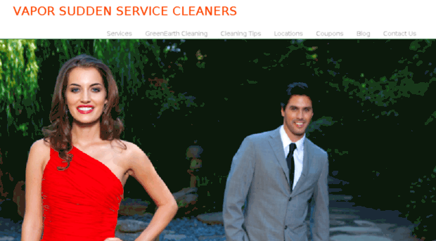 vaporcleaners.net