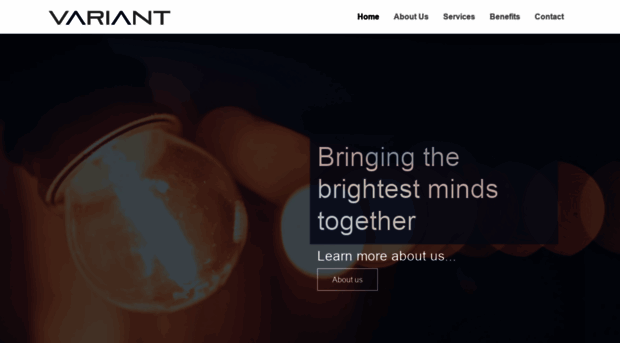 variant-inc.com