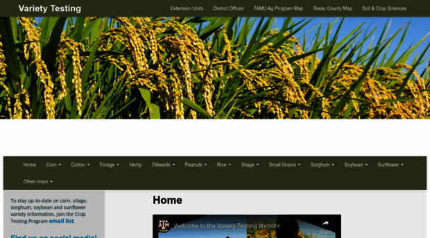 varietytesting.tamu.edu