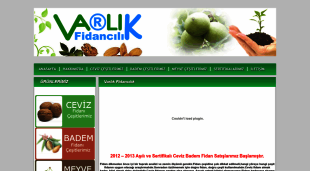 varlikfidancilik.com