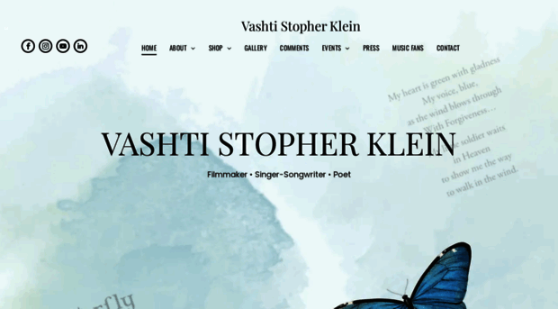 vashtiklein.com