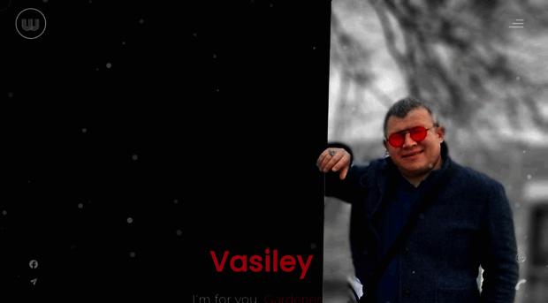 vasiley.ru