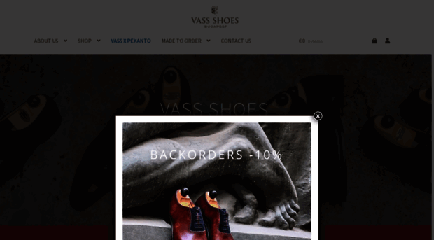 vass-shoes.com