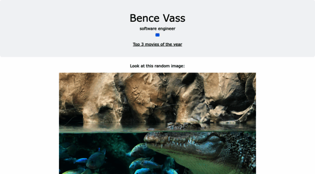 vass.at