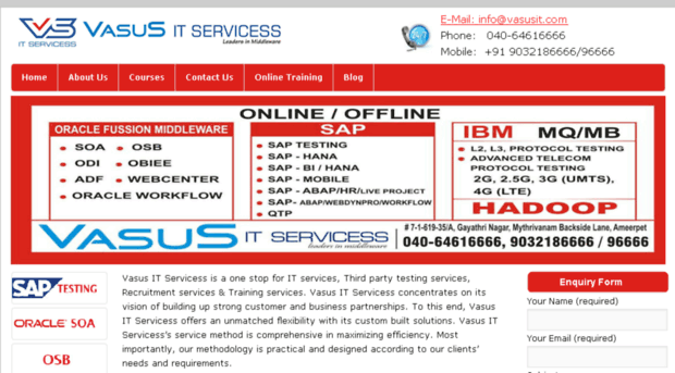 vasusitservicess.com