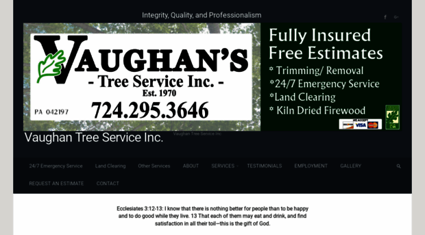 vaughanstreeservice.com