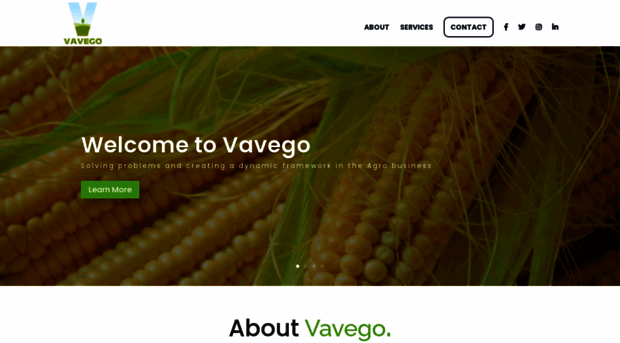 vavego.com