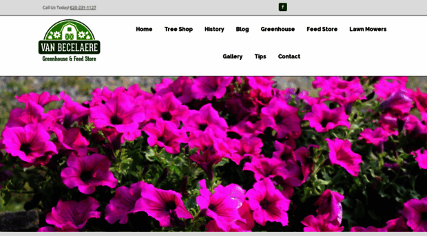 vbgreenhouse.com