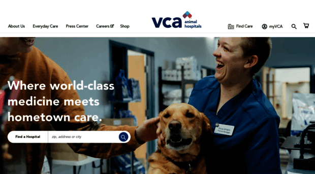 vcai.com