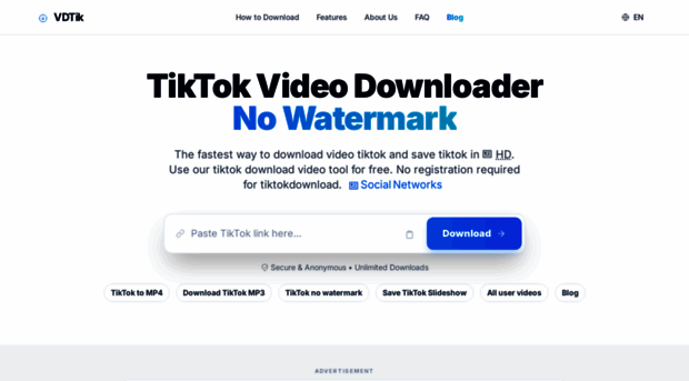vdtik.com